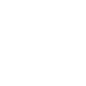 PDF icon